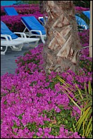 DSC_0157.JPG