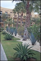 DSC_0161.JPG