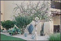 DSC_0162.JPG