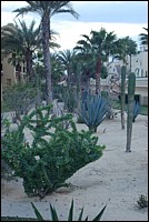 DSC_0163.JPG