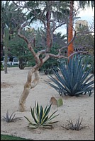 DSC_0166.JPG