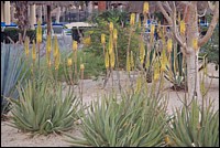 DSC_0167.JPG