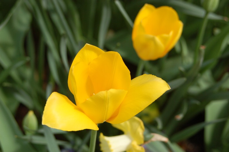 DSC_0043.JPG