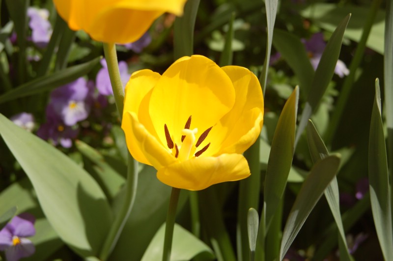 DSC_0044.JPG