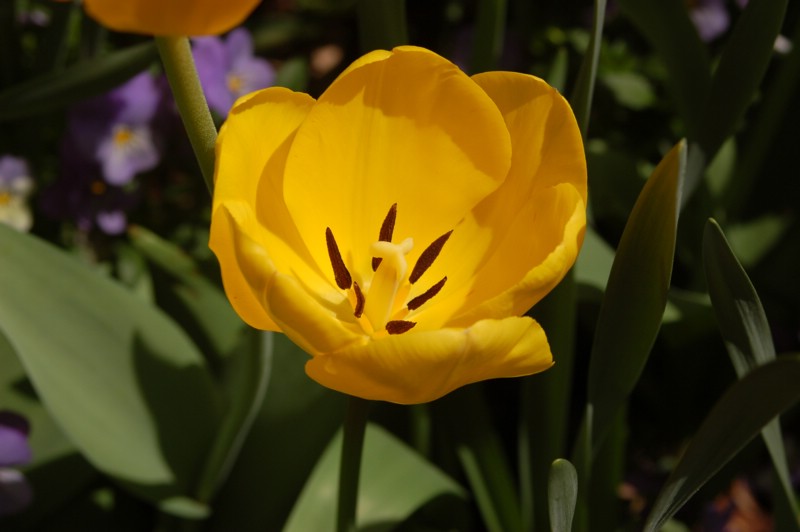 DSC_0045.JPG