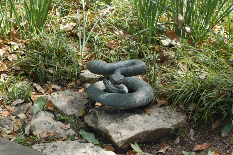 DSC_0051.JPG
