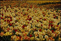 DSC_0010.JPG