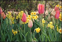 DSC_0019.JPG
