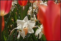 DSC_0026.JPG