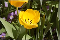 DSC_0044.JPG