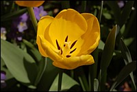 DSC_0045.JPG