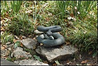 DSC_0051.JPG