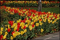 DSC_0076.JPG