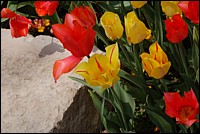 DSC_0078.JPG