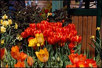 DSC_0086.JPG
