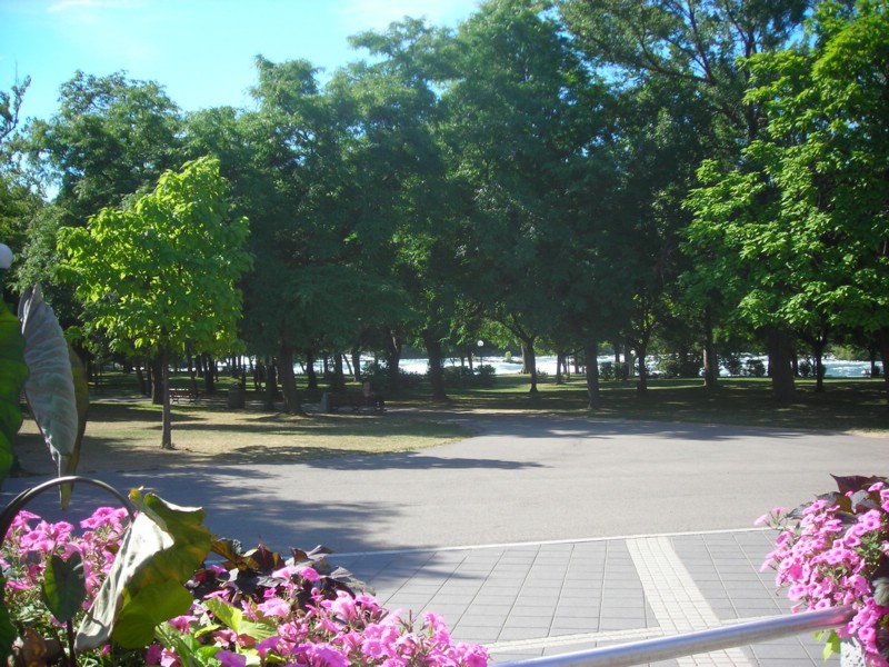 DSCN0919.JPG