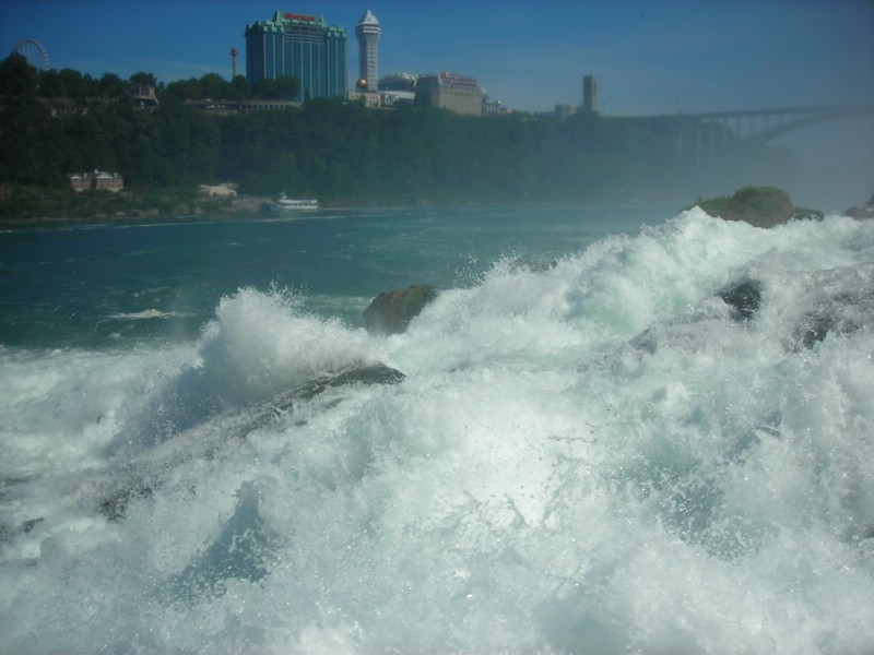 DSCN0931.JPG