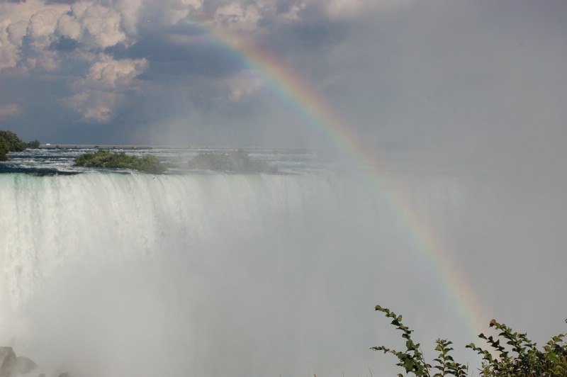 DSC_0019.JPG