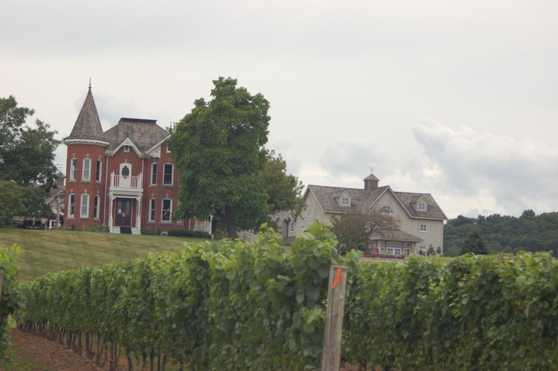 DSC_0100.JPG