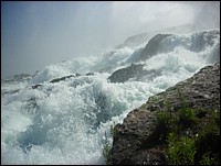 DSCN0930.JPG
