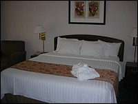 DSCN0982.JPG