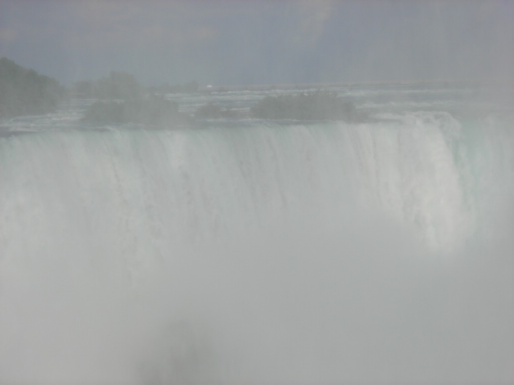 DSCN0848.JPG