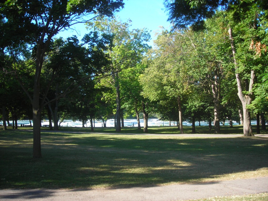 DSCN0869.JPG
