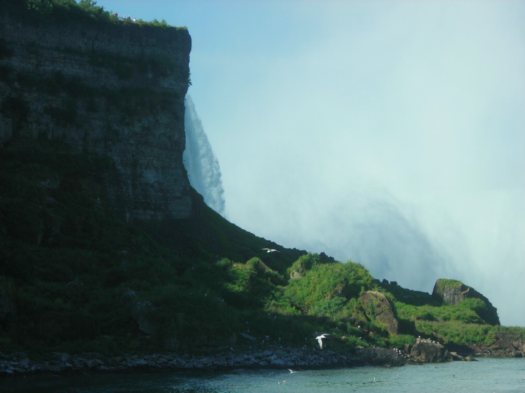 DSCN0895.JPG