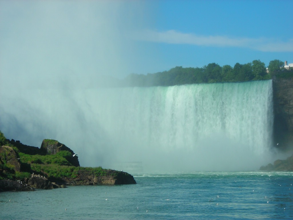 DSCN0896.JPG