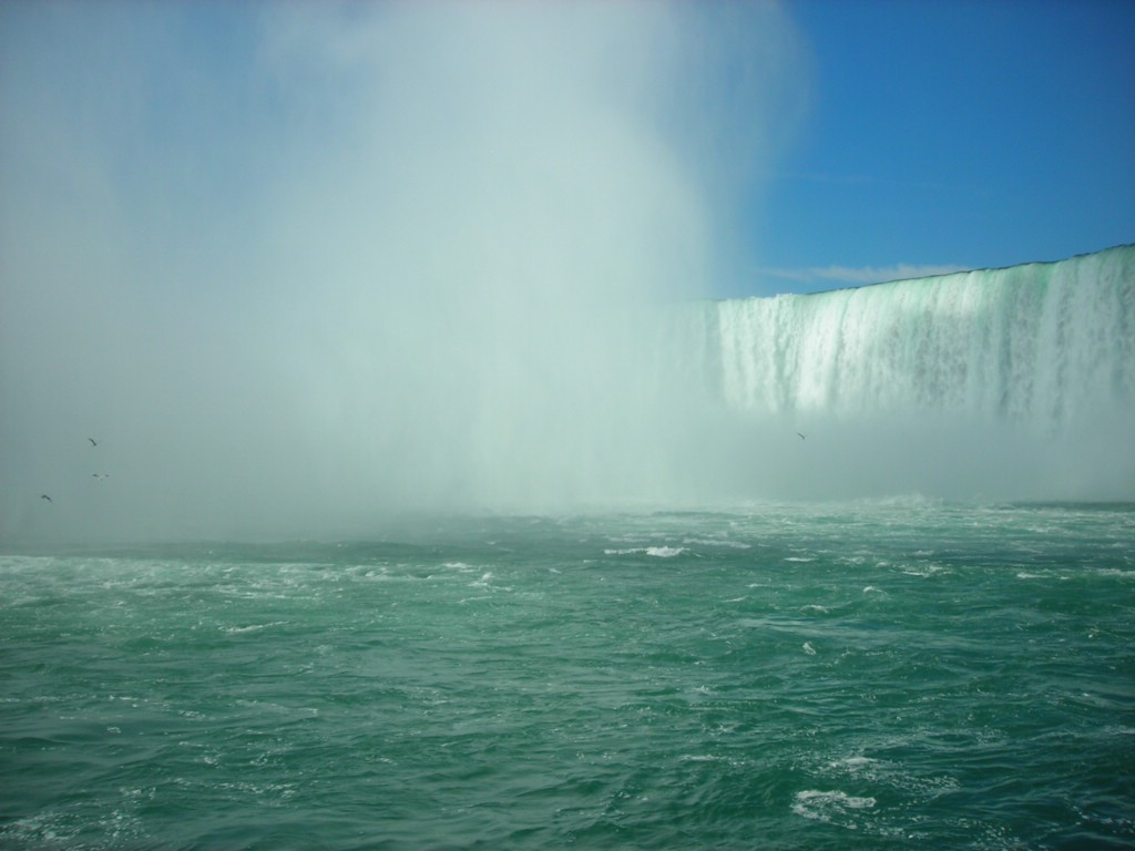 DSCN0901.JPG