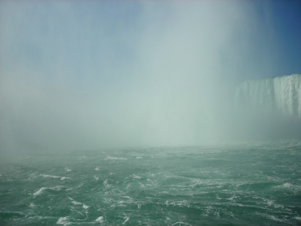 DSCN0902.JPG