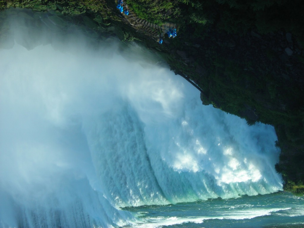 DSCN0917.JPG