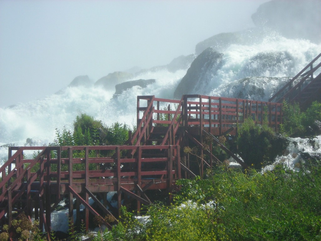 DSCN0923.JPG