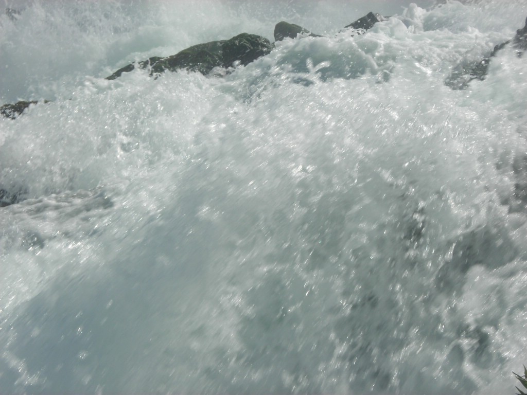 DSCN0929.JPG