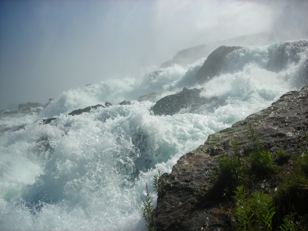 DSCN0930.JPG