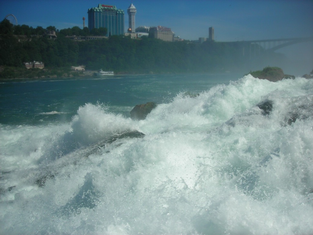 DSCN0931.JPG