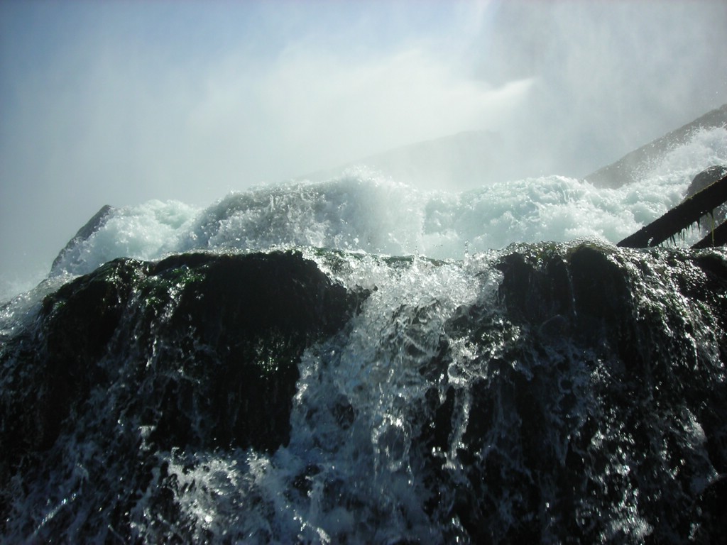 DSCN0935.JPG