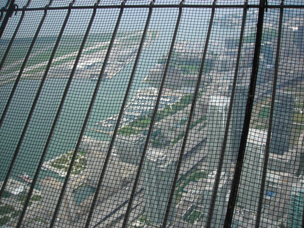 DSCN0975.JPG