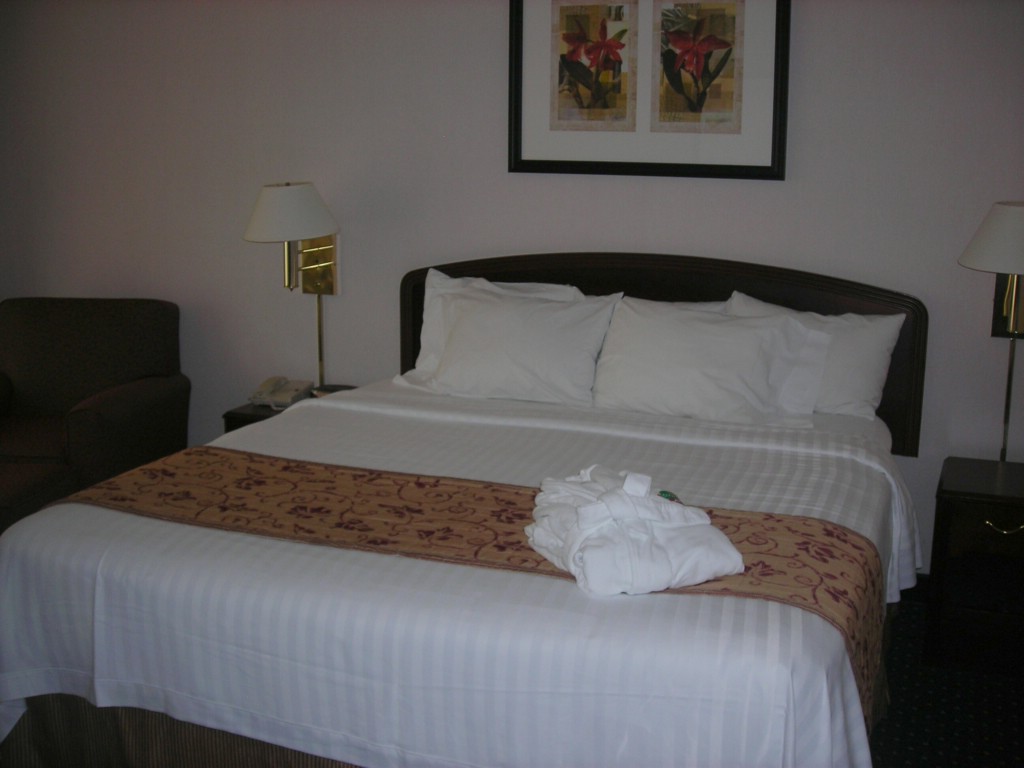 DSCN0982.JPG
