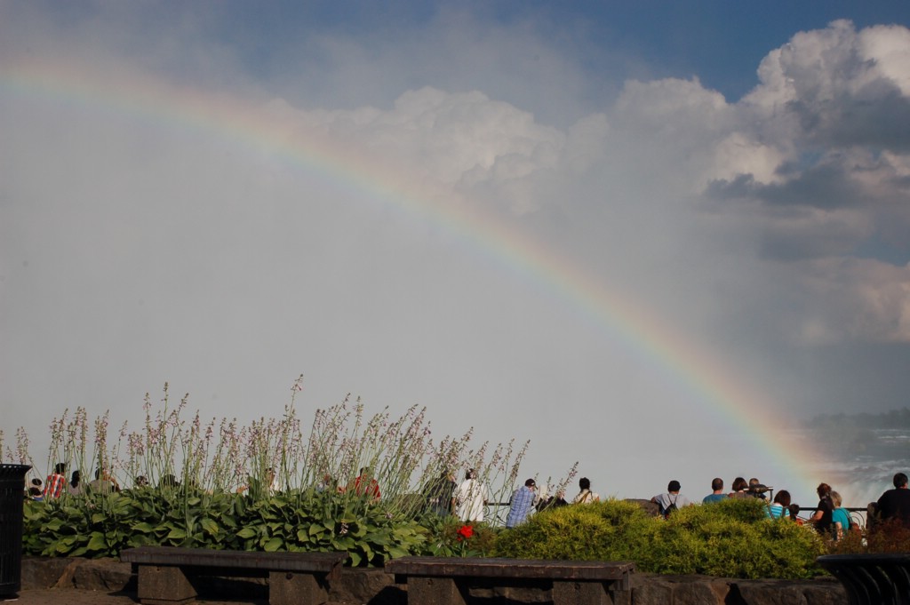 DSC_0003.JPG