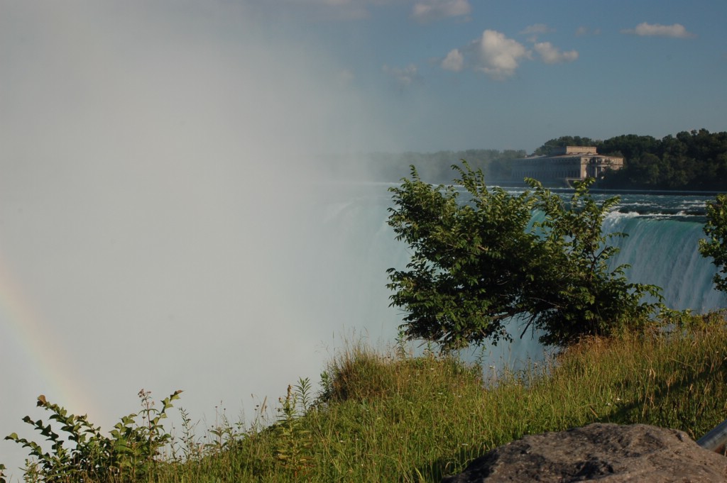 DSC_0017.JPG