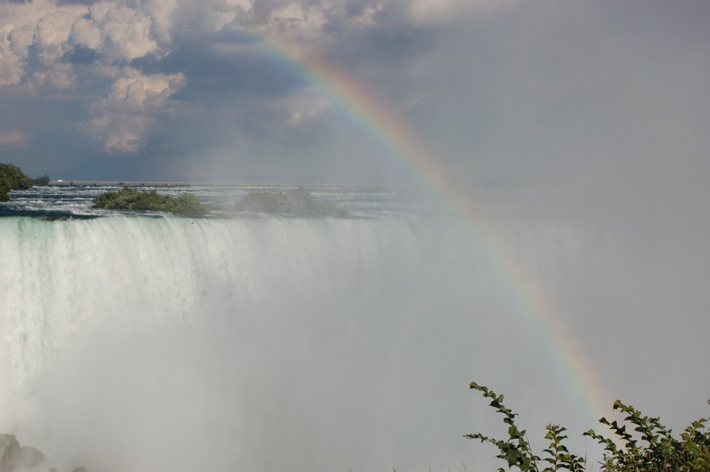 DSC_0019.JPG