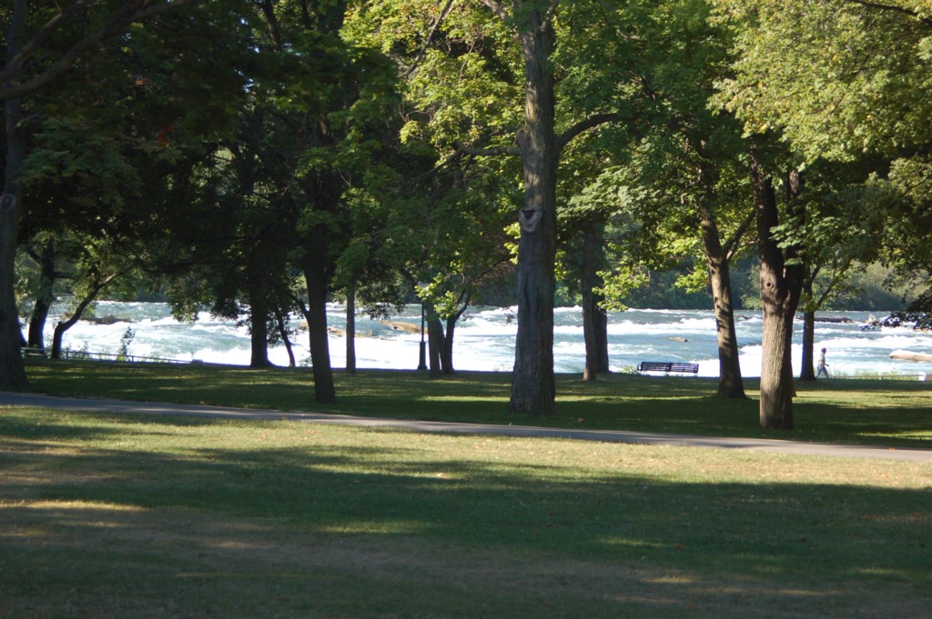 DSC_0027.JPG