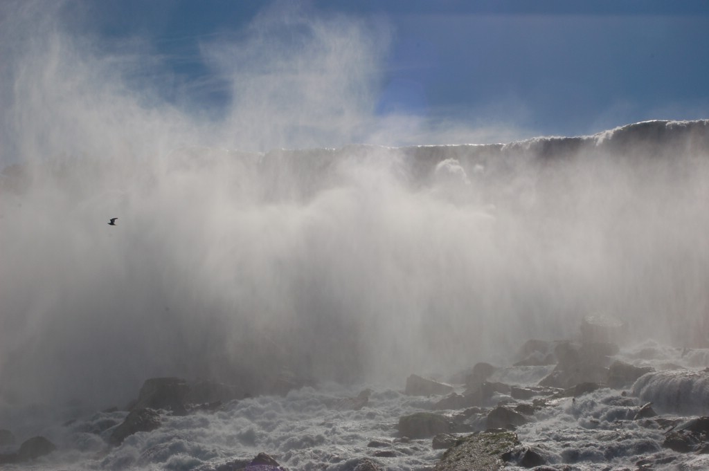 DSC_0053.JPG