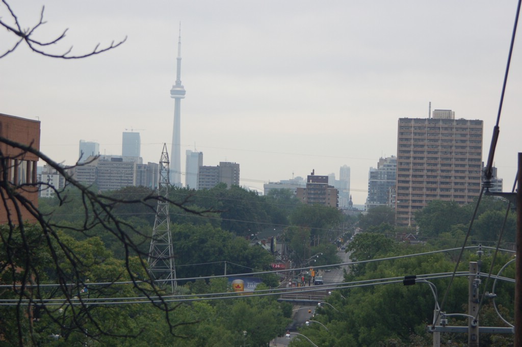 DSC_0110.JPG