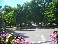 DSCN0919.JPG
