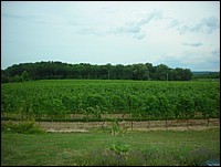 DSCN0940.JPG