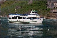 DSC_0059.JPG