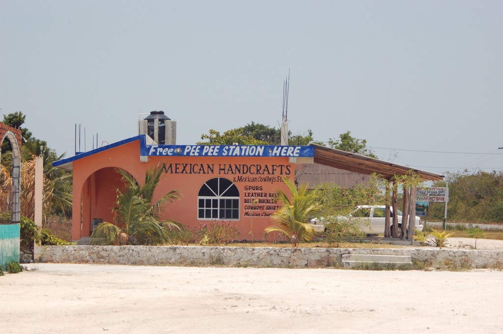 DSC_0015.JPG