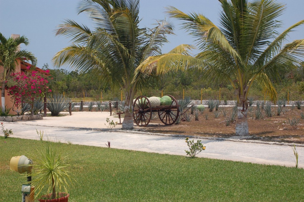 DSC_0020.JPG